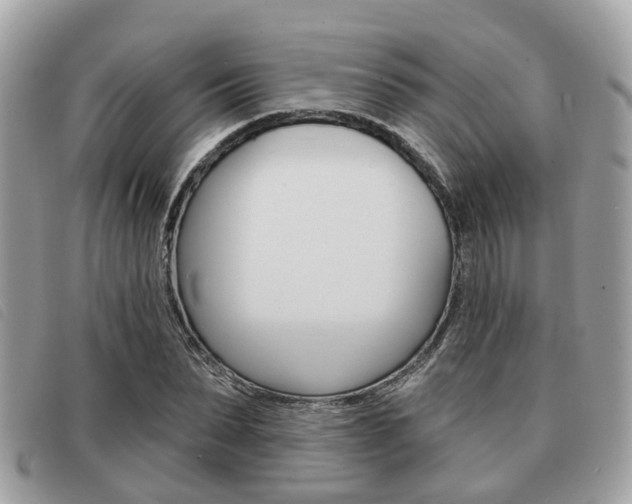 X0000091530879200708170948