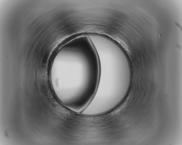 X0000091530880200708170948