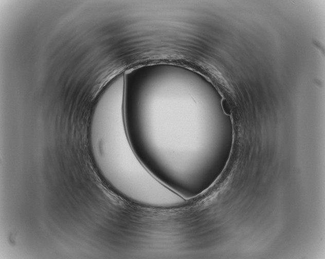 X0000091530881200708170948