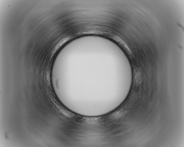 X0000091530882200708170948