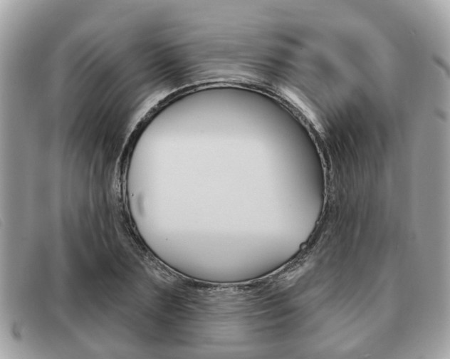 X0000091530883200708170948