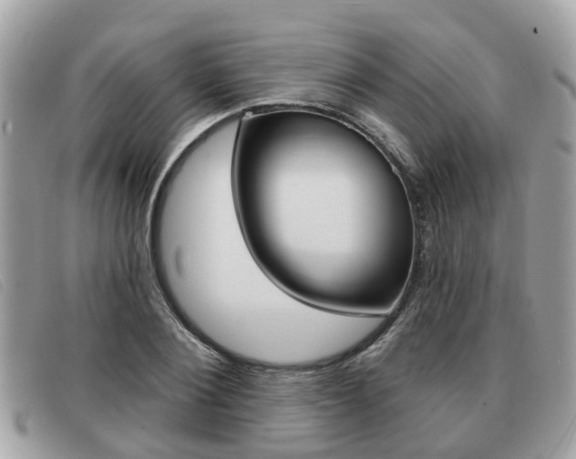 X0000091530884200708170948