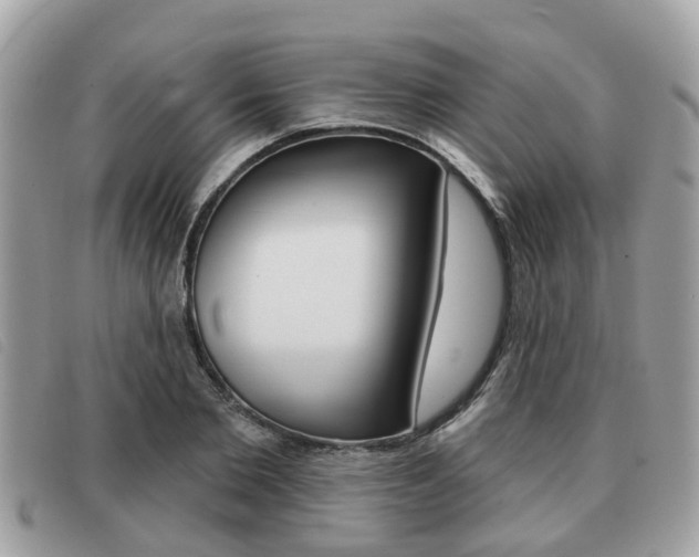 X0000091530885200708170947