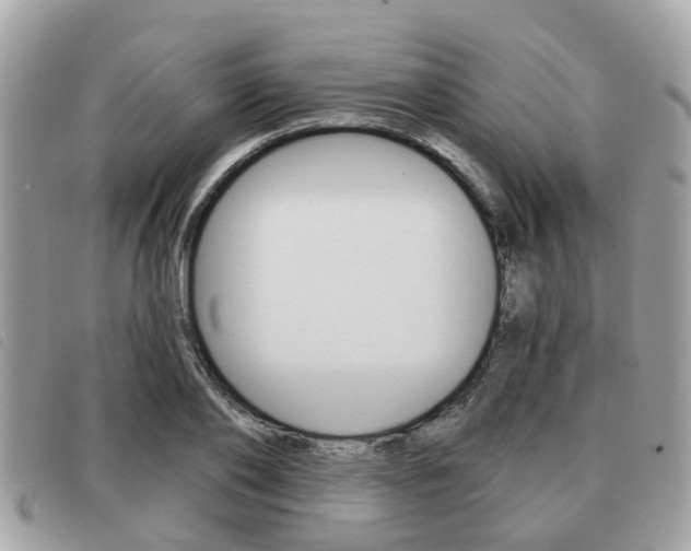 X0000091530886200708170947