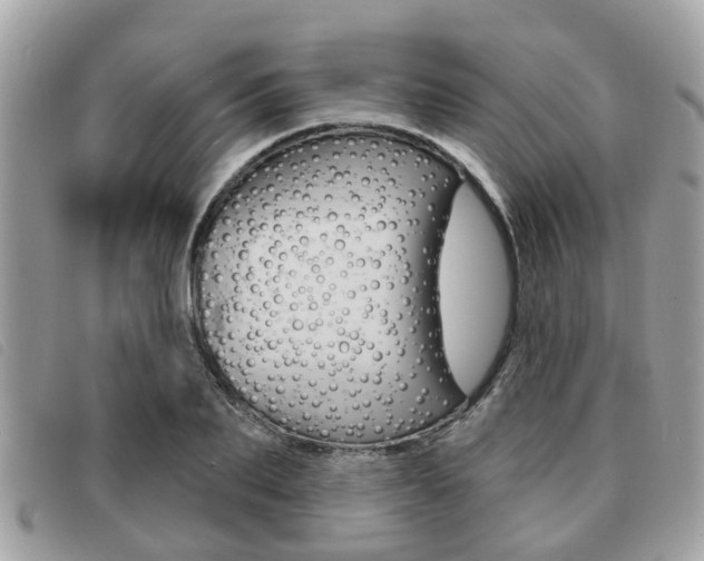 X0000091530887200708170947