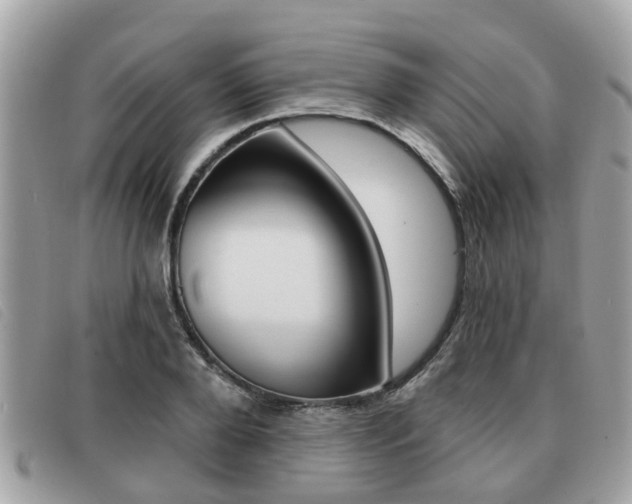 X0000091530888200708170947