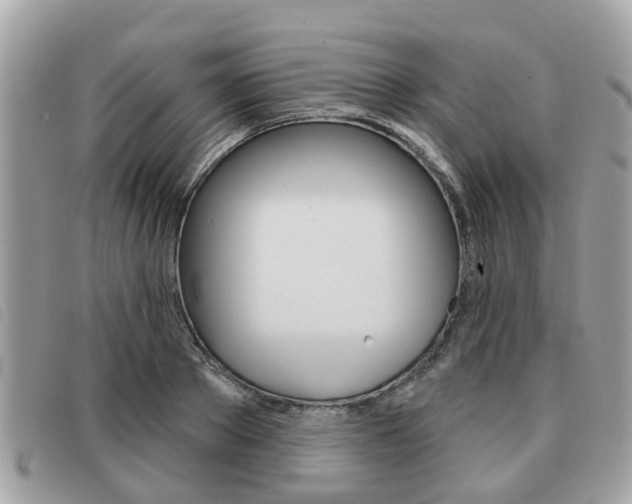 X0000091530889200708170947