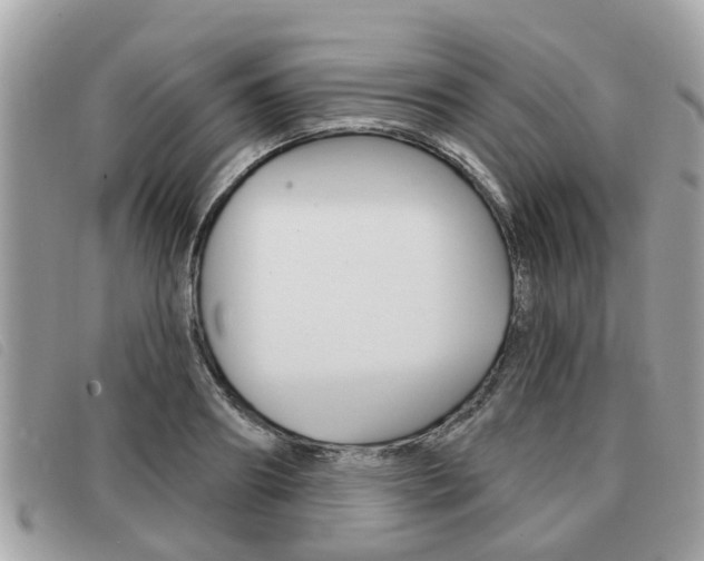 X0000091530890200708170947