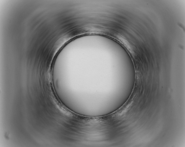 X0000091530891200708170947