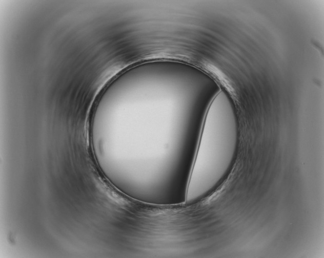 X0000091530892200708170947