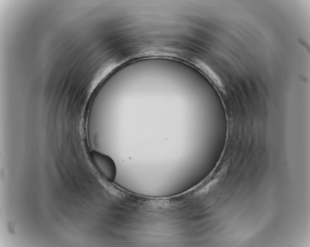 X0000091530893200708170947