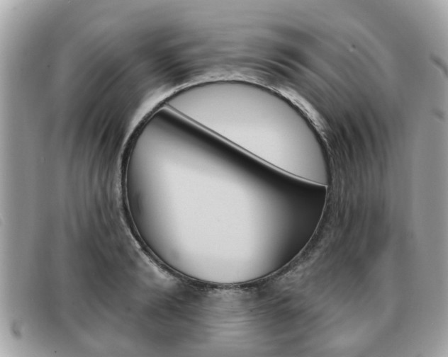 X0000091530894200708170947