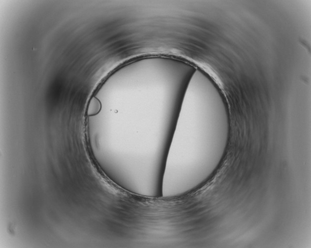 X0000091530895200708170947