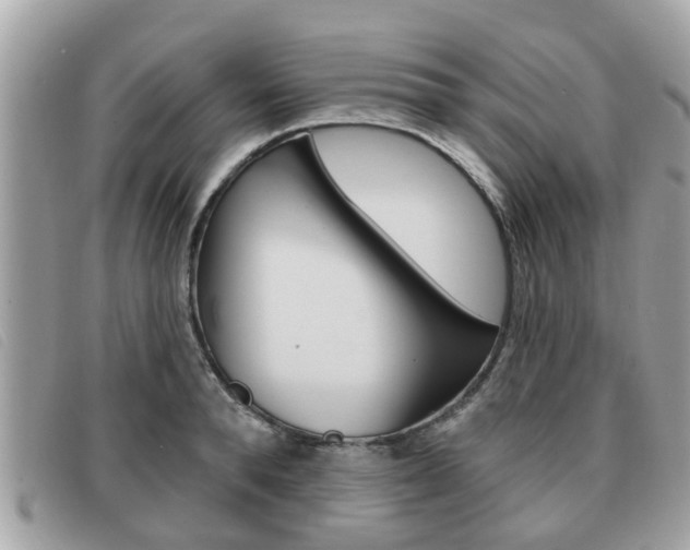 X0000091530896200708170947