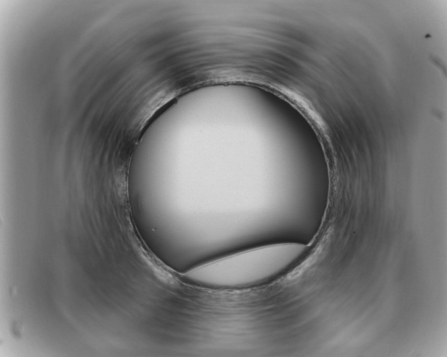 X0000091530897200708170947