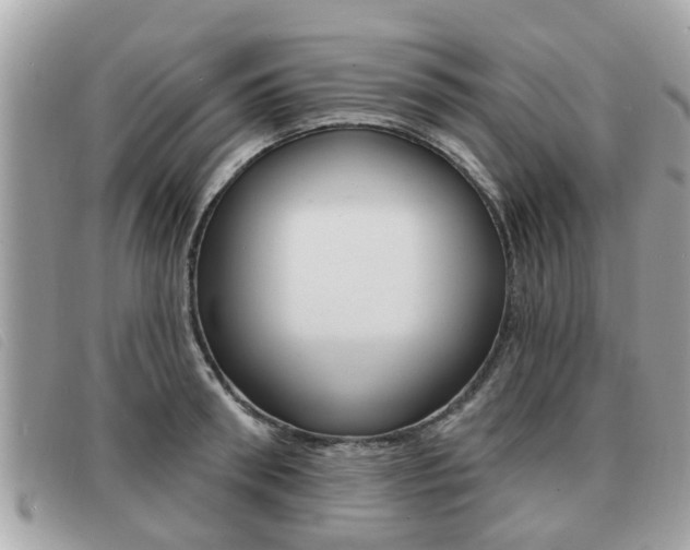 X0000091530898200708170947