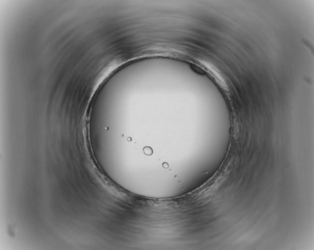 X0000091530899200708170947