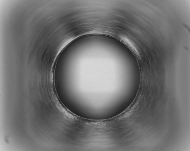 X0000091530900200708170947