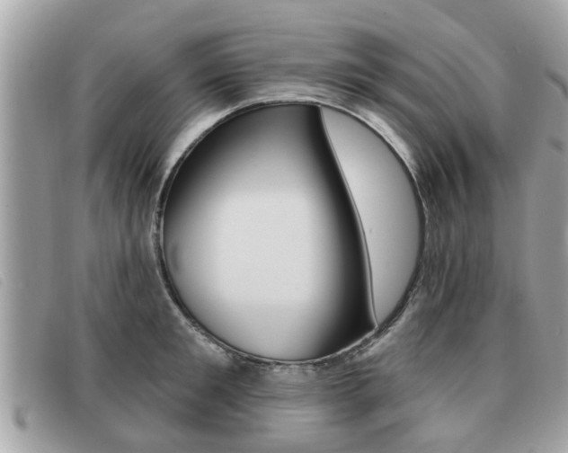 X0000091530901200708170947