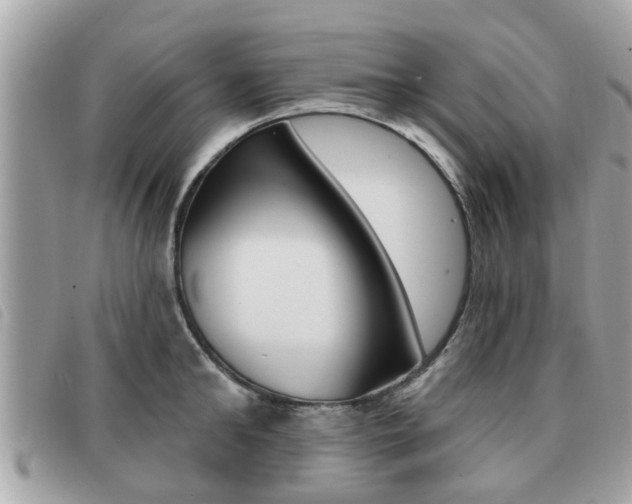 X0000091530902200708170947