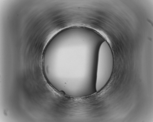 X0000091530903200708170947