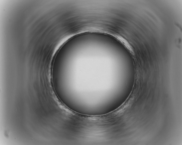 X0000091530904200708170947