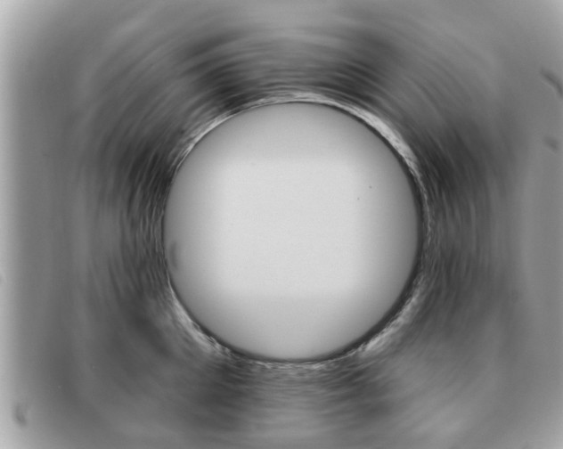 X0000091530905200708170947