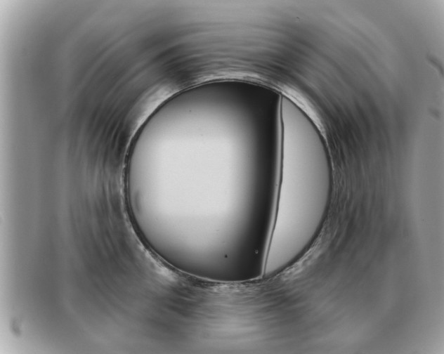 X0000091530906200708170947