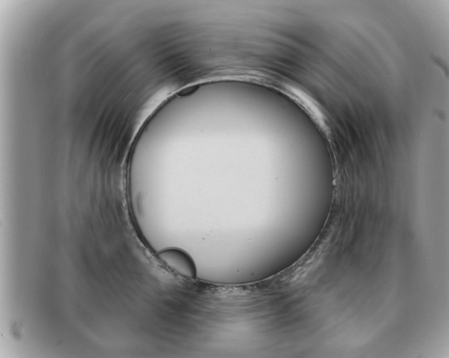 X0000091530907200708170947