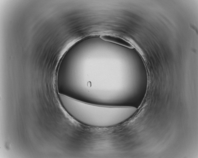 X0000091530909200708170947
