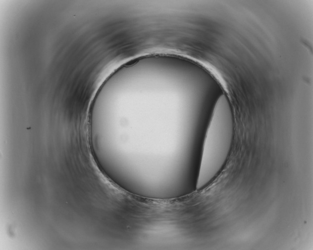 X0000091530911200708170947