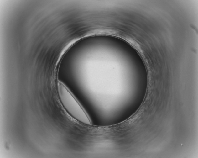 X0000091530912200708170947