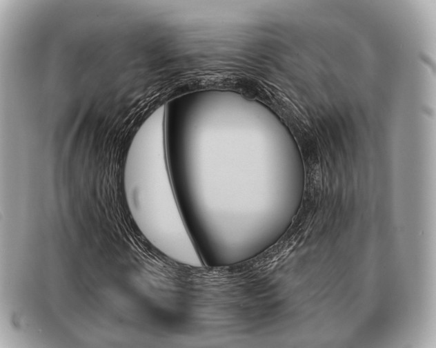 X0000091530914200708170947