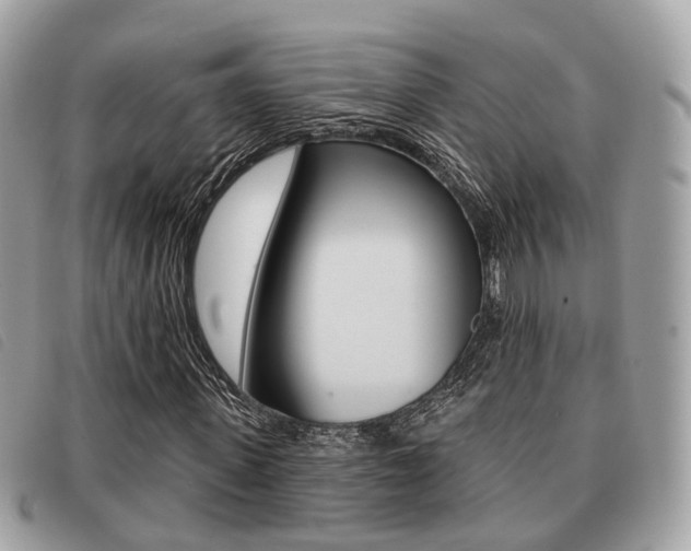 X0000091530915200708170947