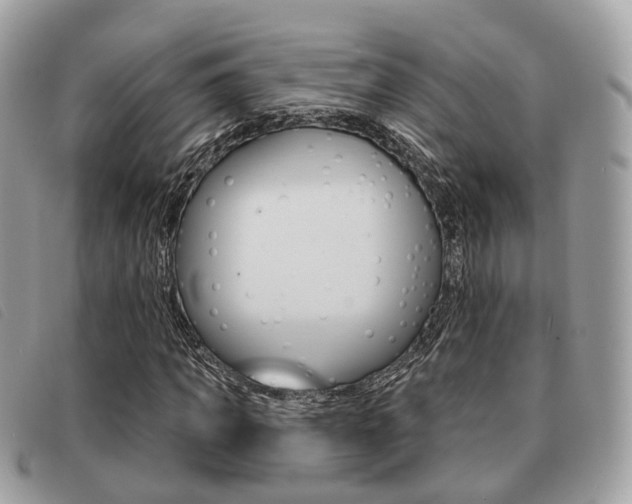 X0000091530917200708170947