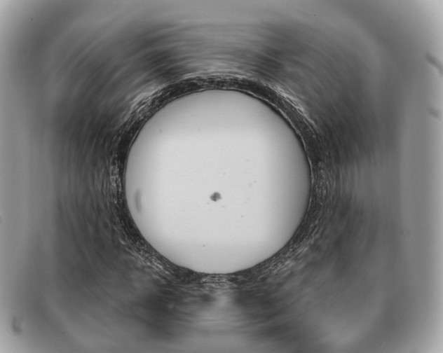X0000091530918200708170947