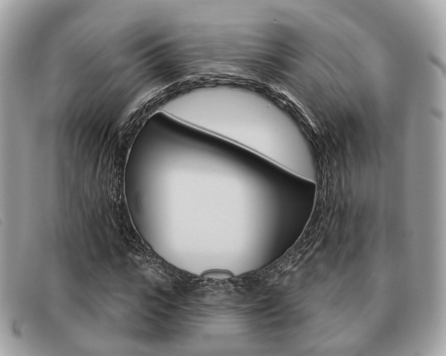 X0000091530919200708170947