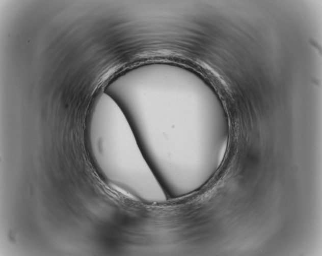 X0000091530921200708170947