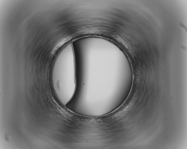 X0000091530922200708170947