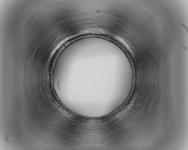 X0000091530923200708170947
