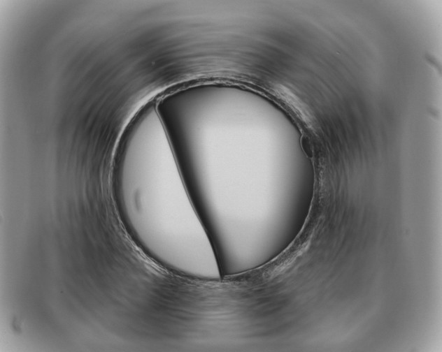 X0000091530924200708170947