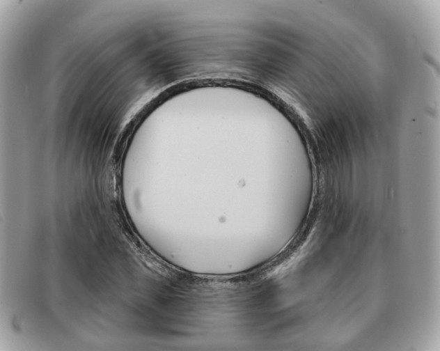X0000091530925200708170947