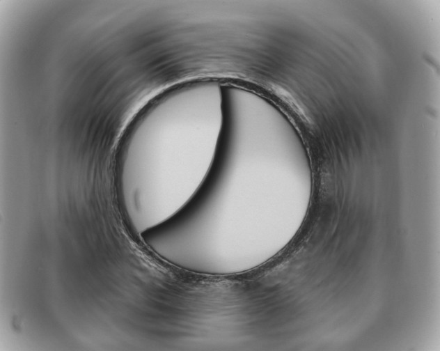X0000091530926200708170947