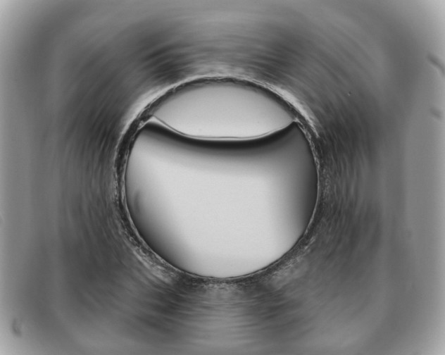 X0000091530927200708170947