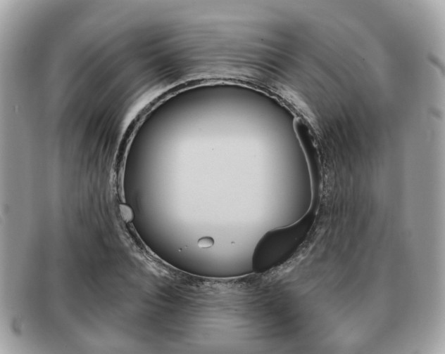 X0000091530928200708170947