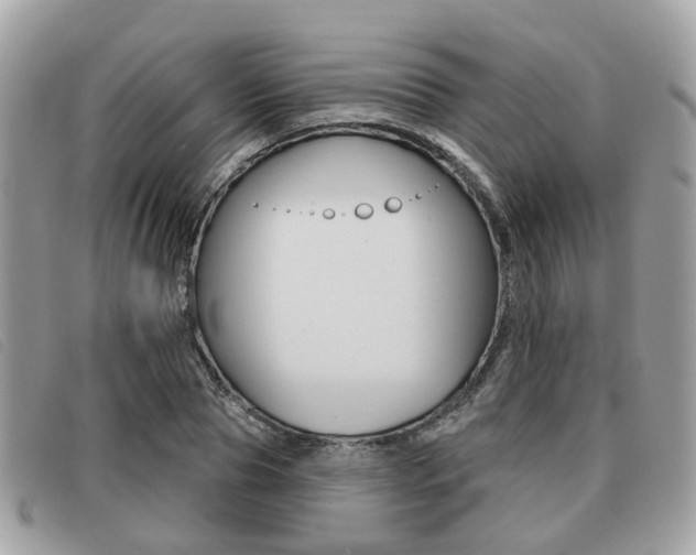 X0000091530929200708170947