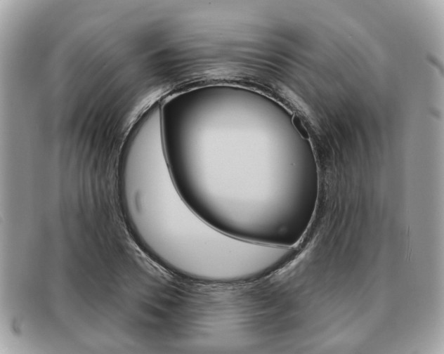 X0000091530930200708170947