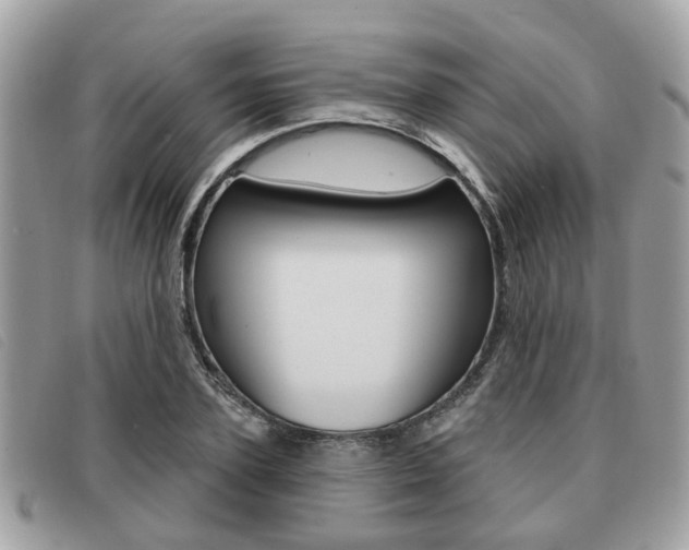 X0000091530931200708170947