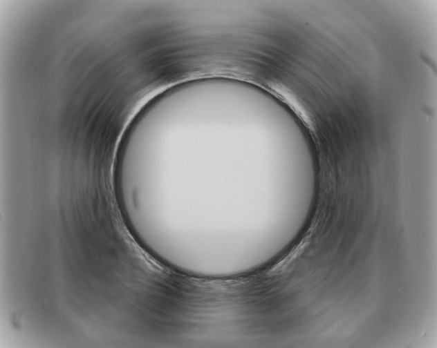 X0000091530932200708170947