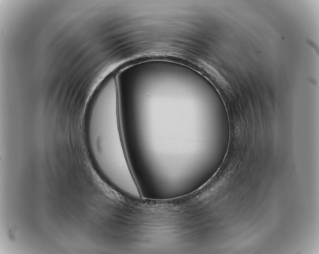 X0000091530934200708170947
